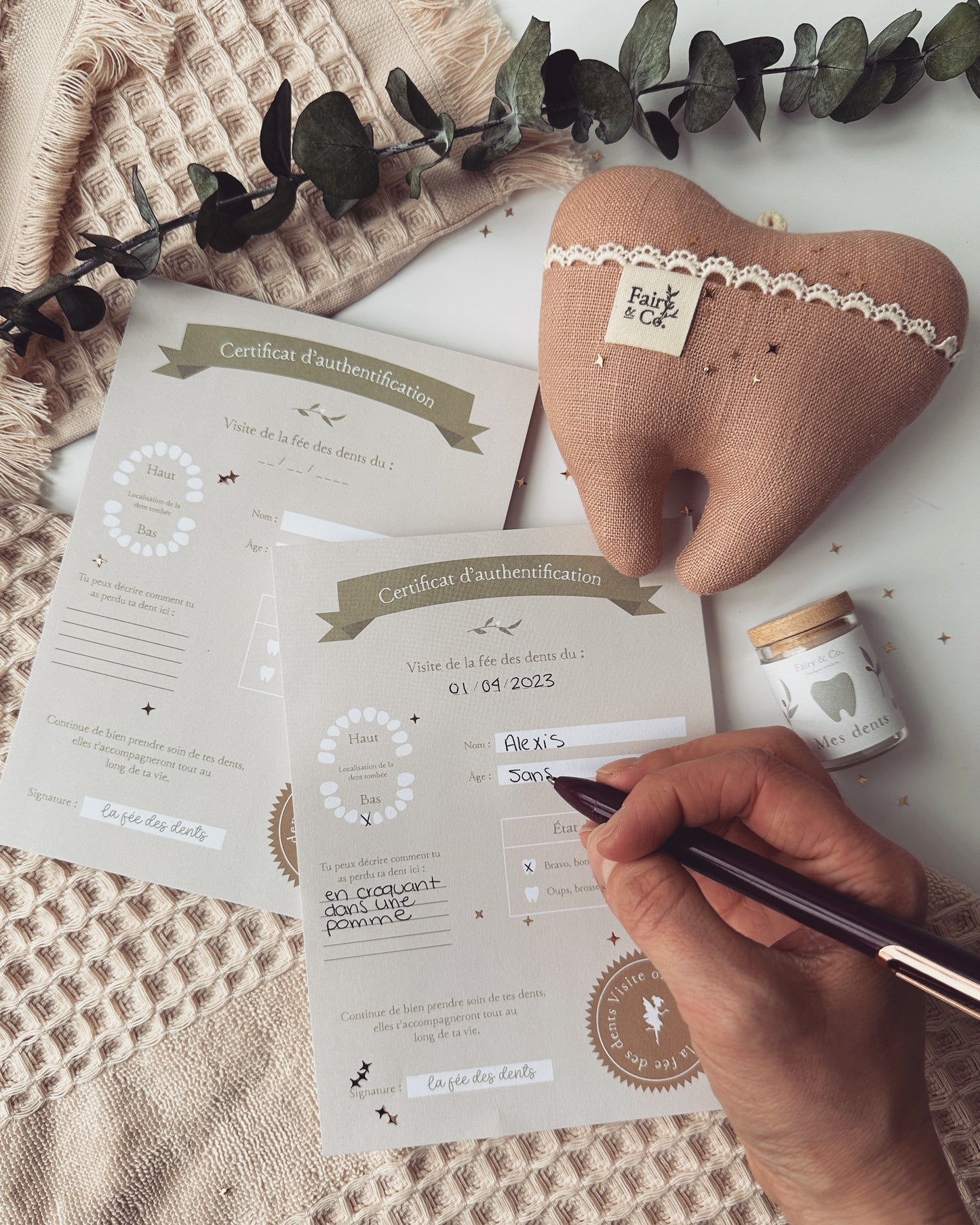 certificats d'authentification de la fée des dents