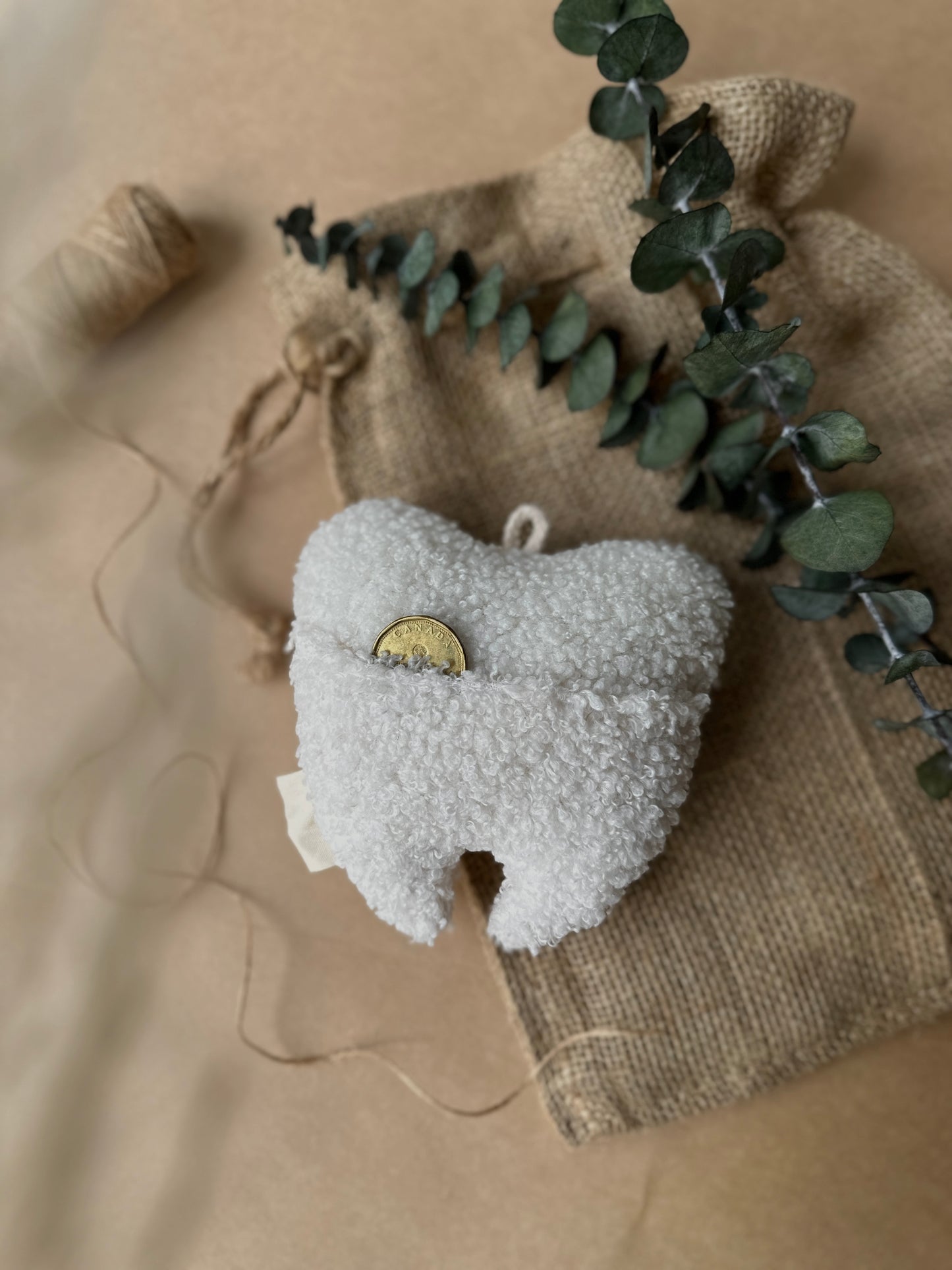 mon coffret Teddy, dents de lait