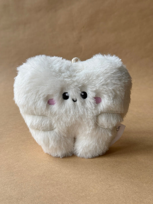 coussin de la fée des dents, Molly