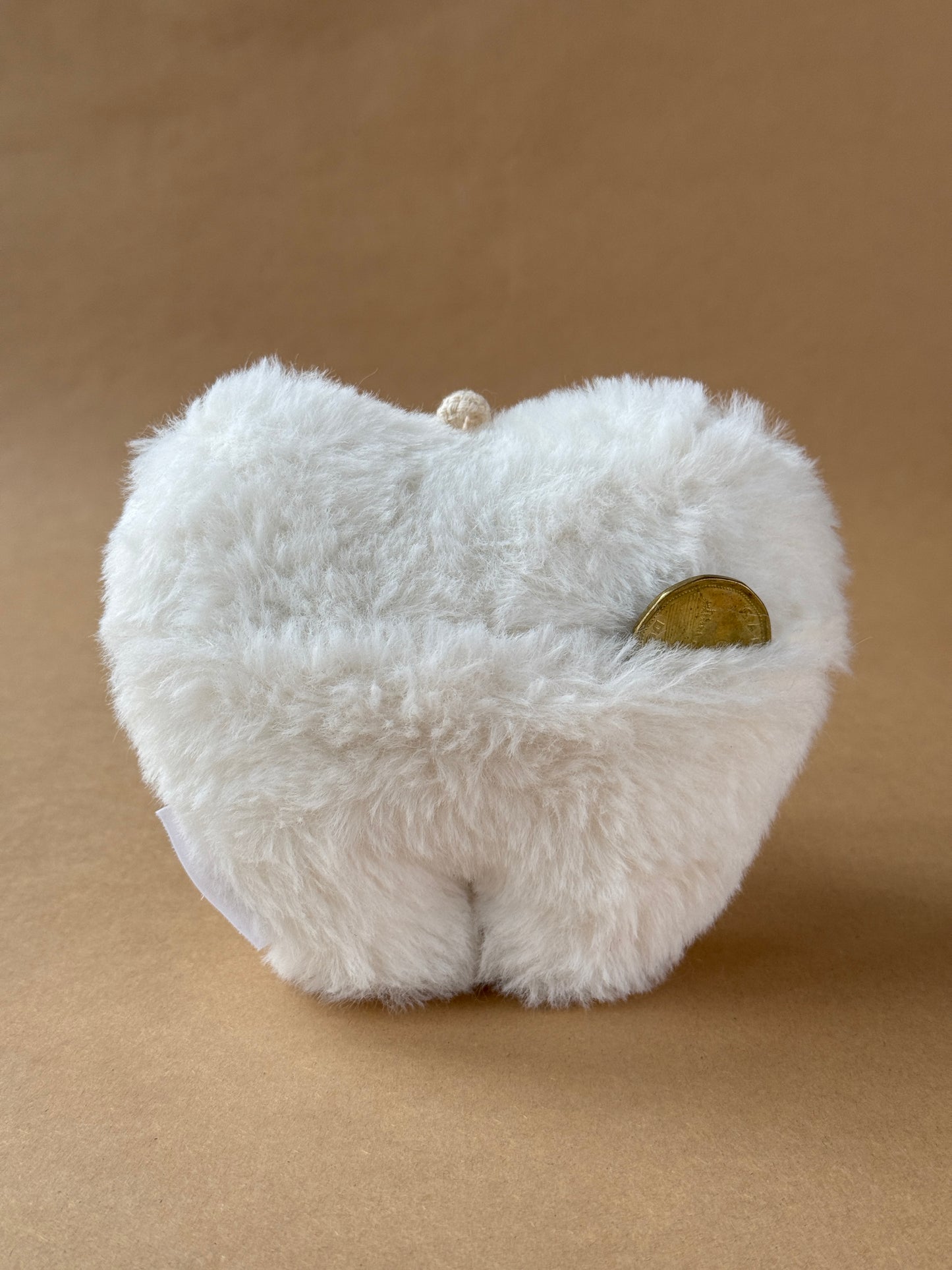 coussin de la fée des dents, Molly