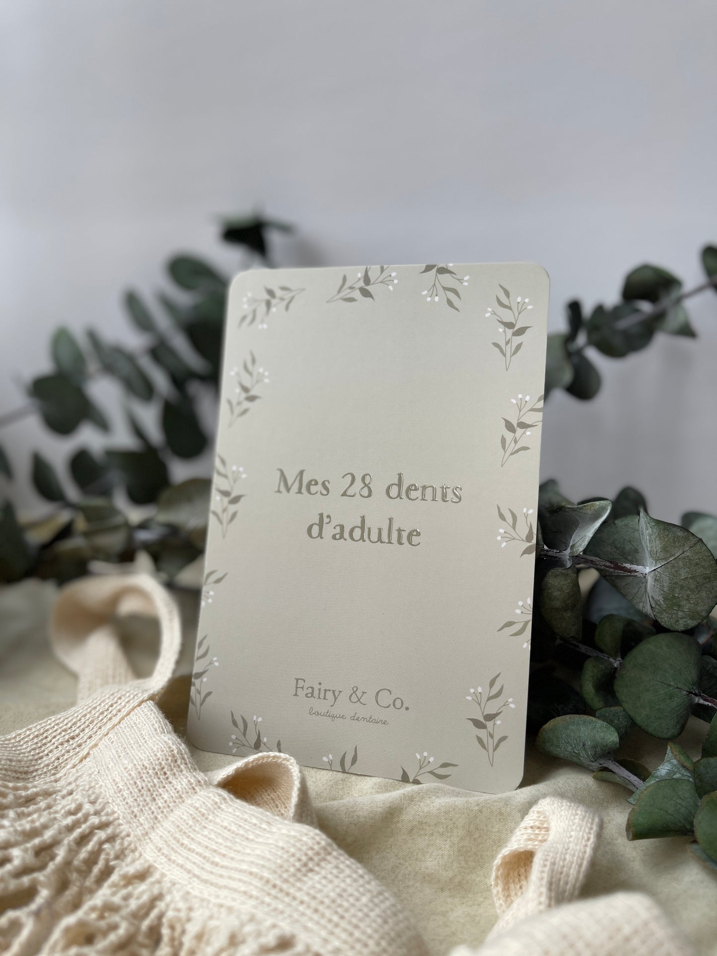 ma carte d'éruption, dents d'adulte