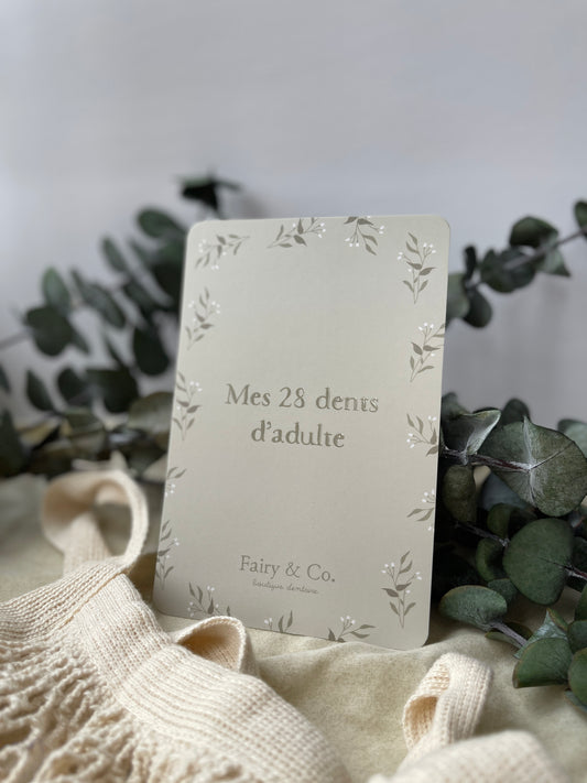 ma carte d'éruption, dents d'adulte